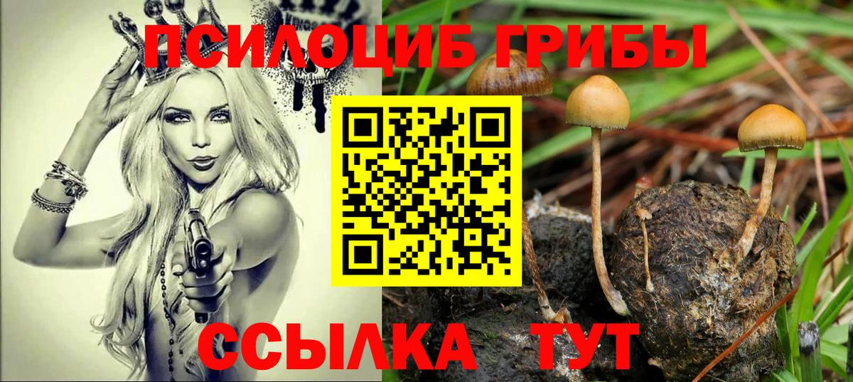 Галлюциногенные грибы Magic Shrooms  Вход с VPN  сколько стоит  Будённовск 